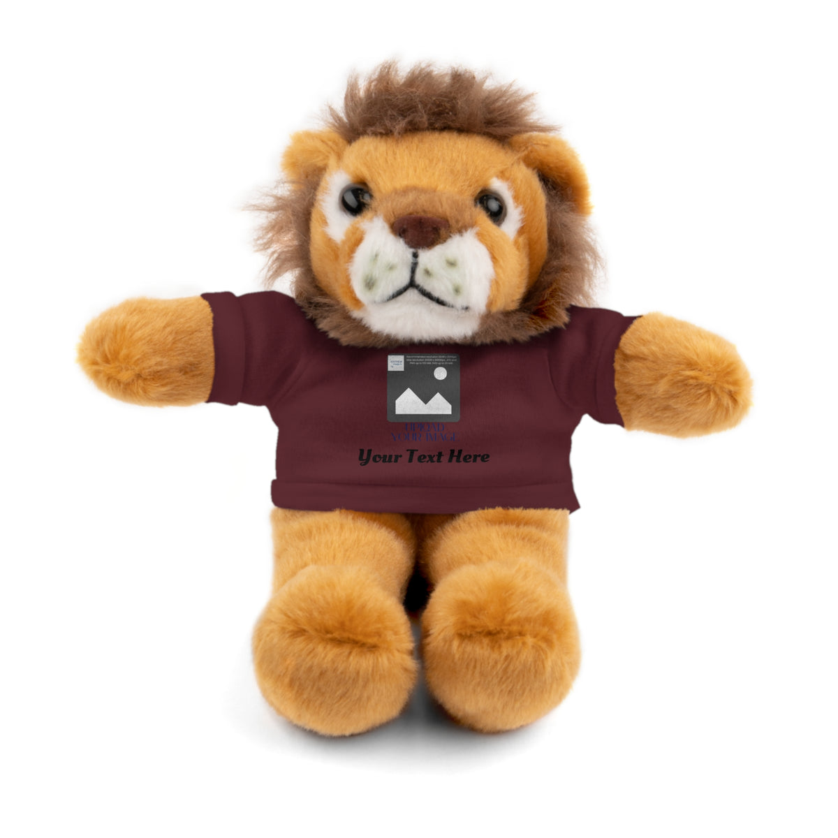 Personalized Stuffed Animal with Custom T-Shirt | Name, Photo or Message Plush Gift