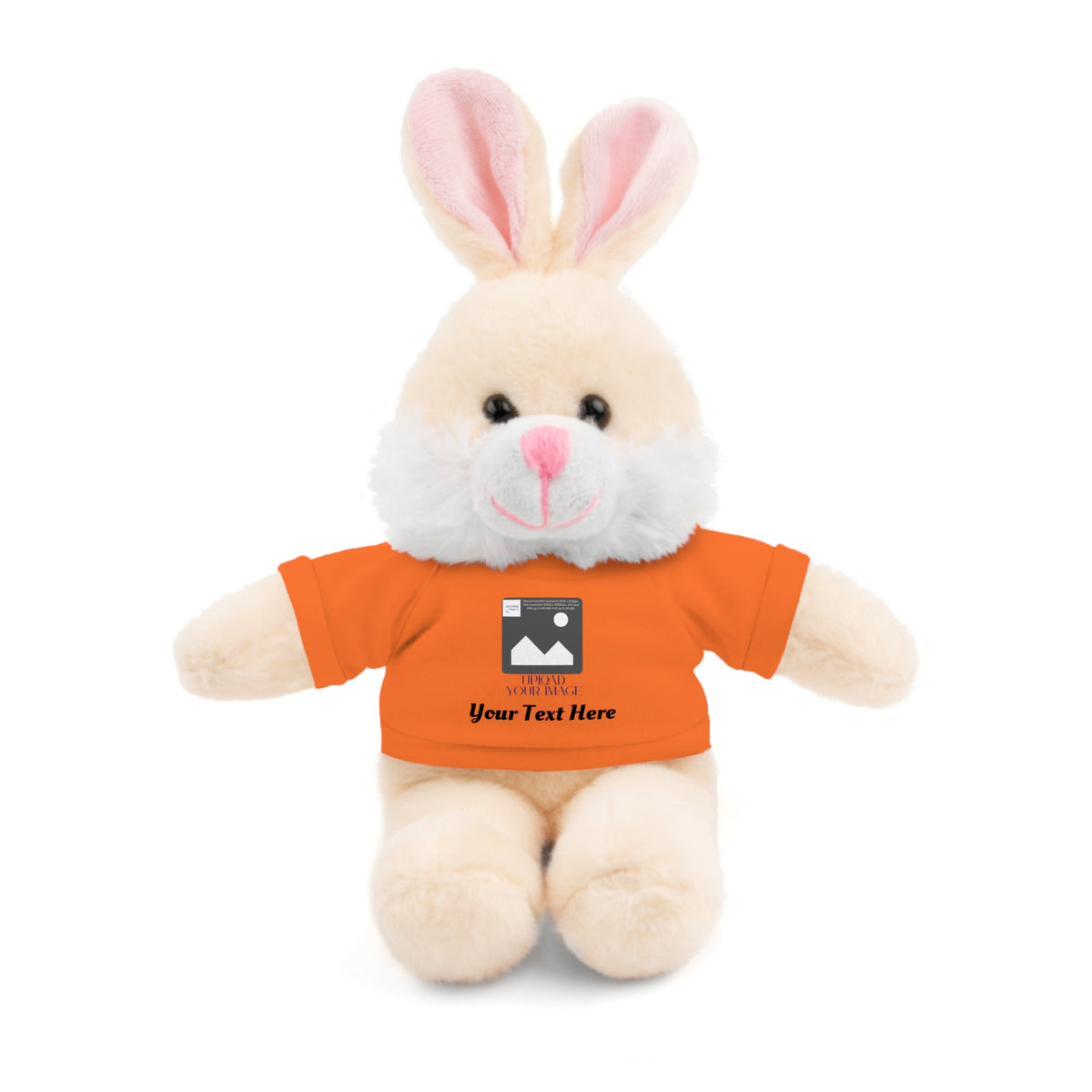 Personalized Stuffed Animal with Custom T-Shirt | Name, Photo or Message Plush Gift