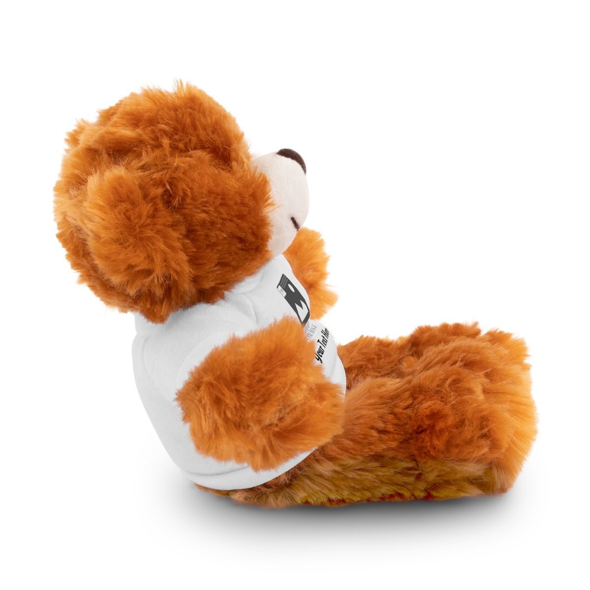 Personalized Stuffed Animal with Custom T-Shirt | Name, Photo or Message Plush Gift