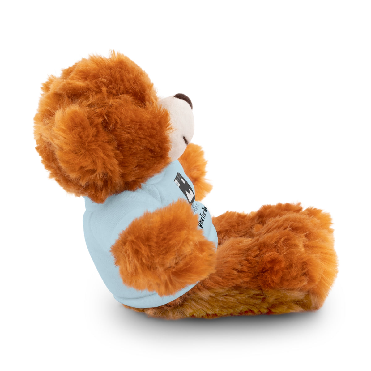 Personalized Stuffed Animal with Custom T-Shirt | Name, Photo or Message Plush Gift