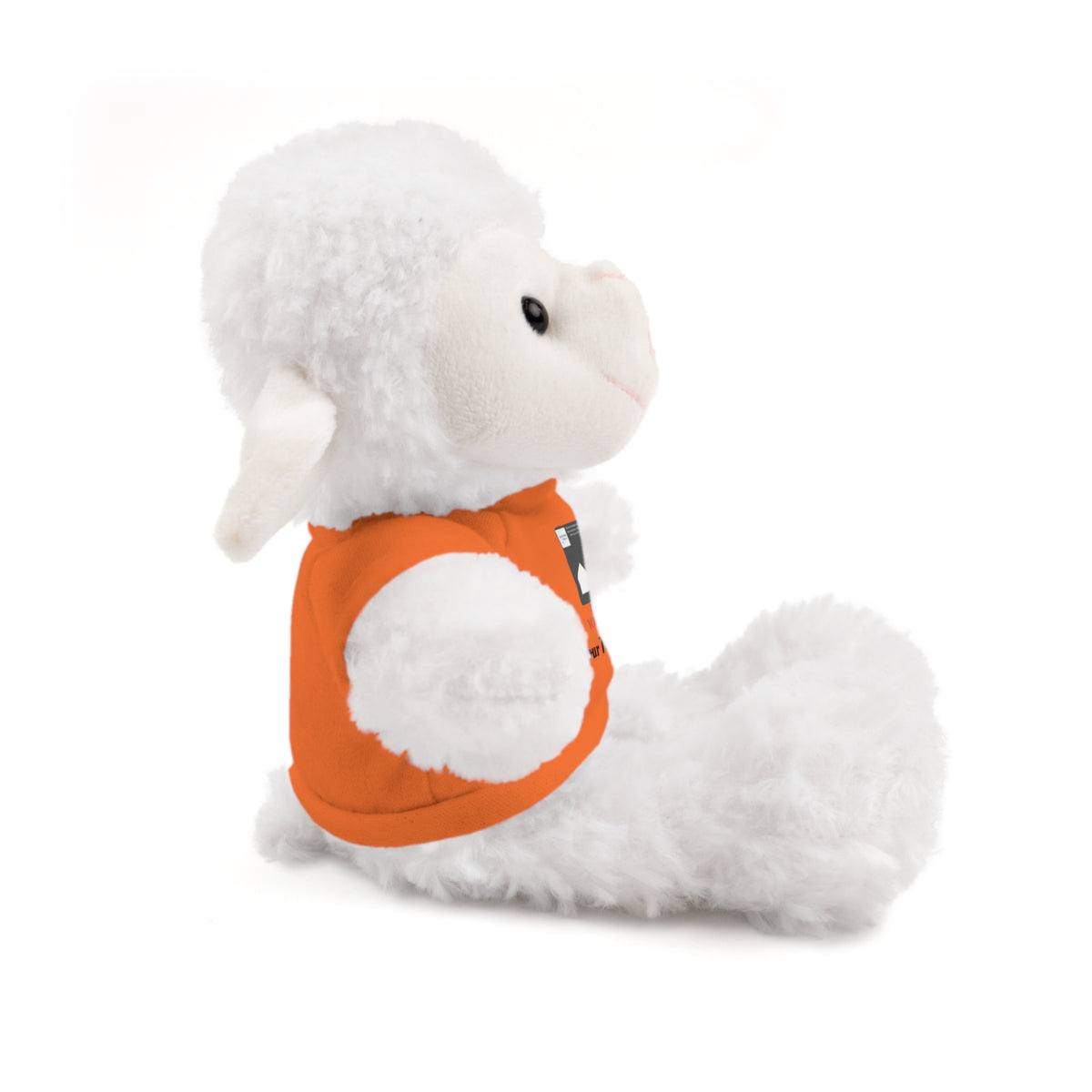 Personalized Stuffed Animal with Custom T-Shirt | Name, Photo or Message Plush Gift