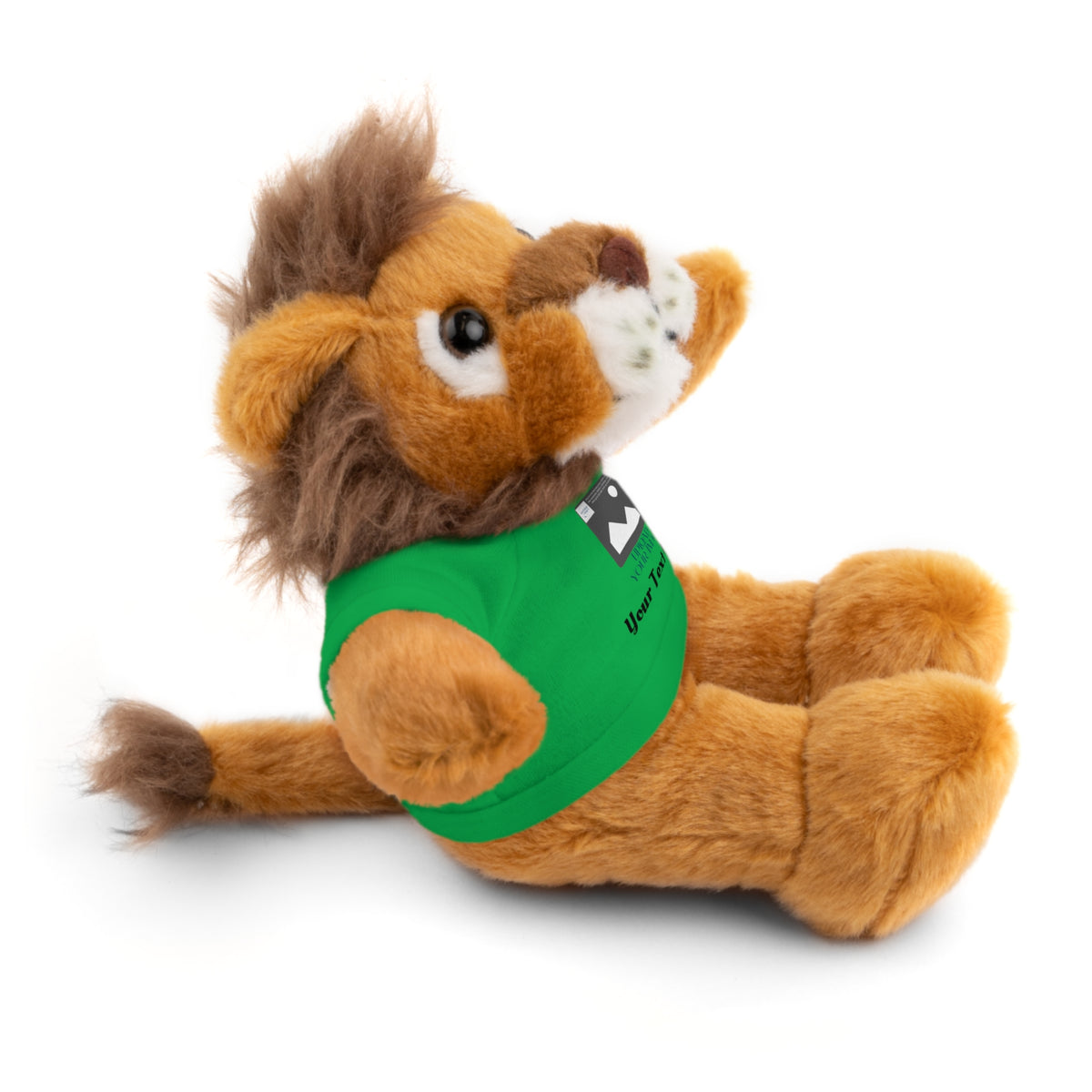Personalized Stuffed Animal with Custom T-Shirt | Name, Photo or Message Plush Gift