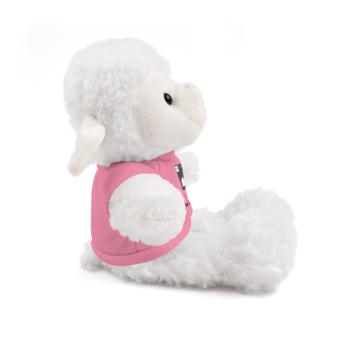 Personalized Stuffed Animal with Custom T-Shirt | Name, Photo or Message Plush Gift