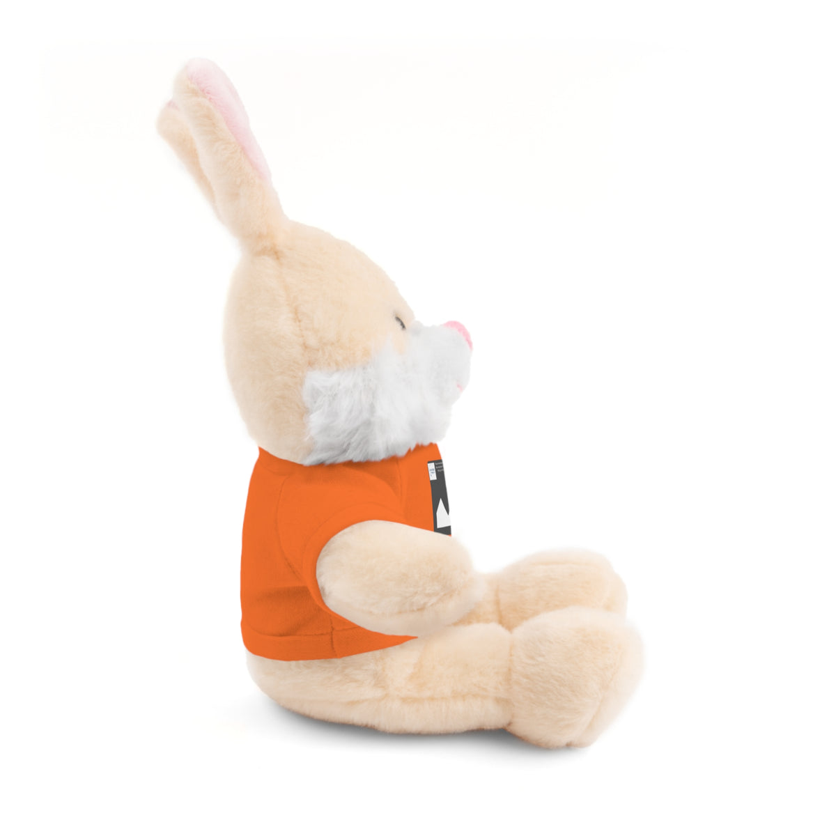 Personalized Stuffed Animal with Custom T-Shirt | Name, Photo or Message Plush Gift