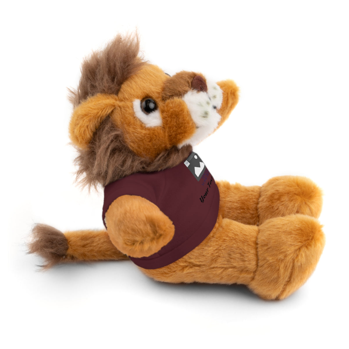 Personalized Stuffed Animal with Custom T-Shirt | Name, Photo or Message Plush Gift