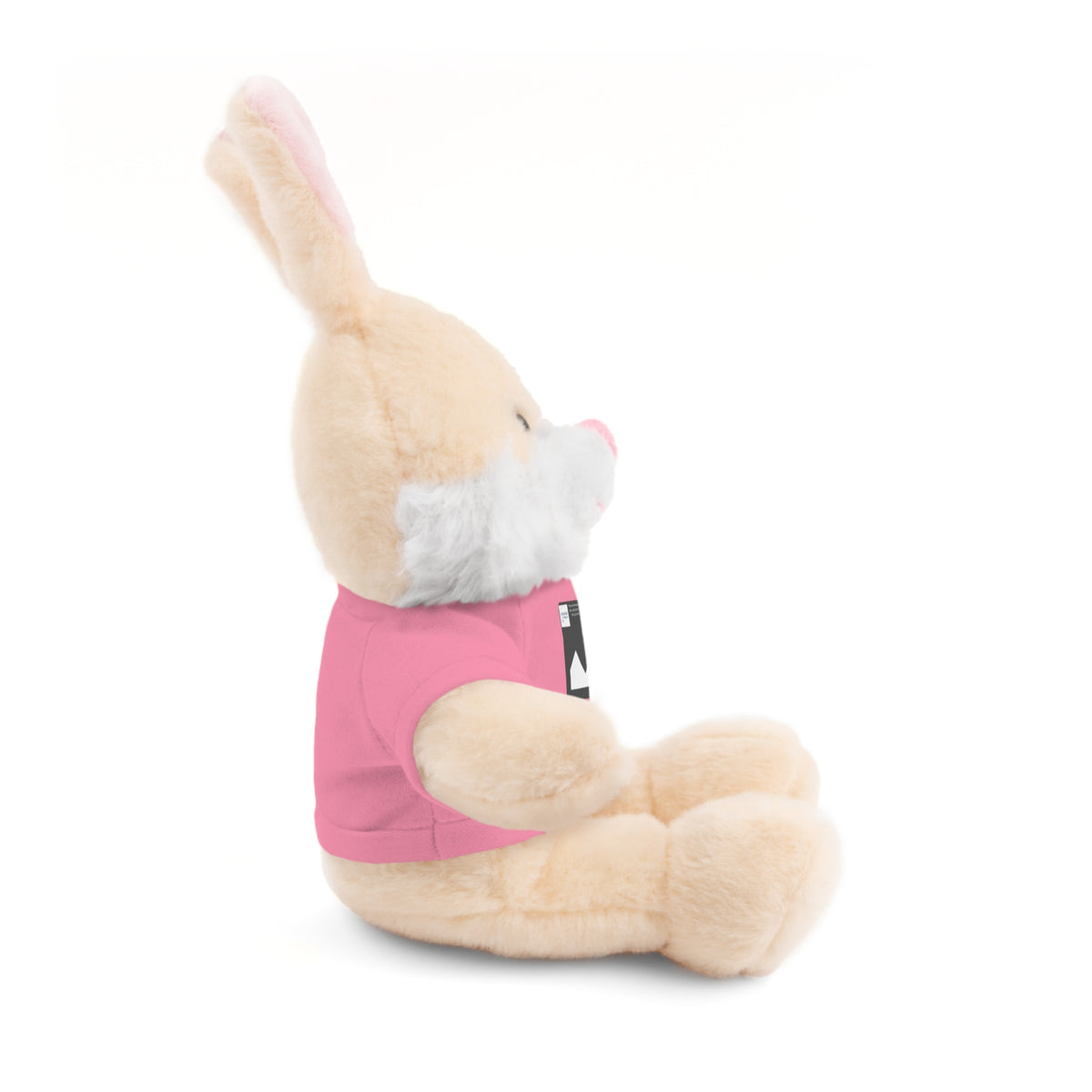 Personalized Stuffed Animal with Custom T-Shirt | Name, Photo or Message Plush Gift