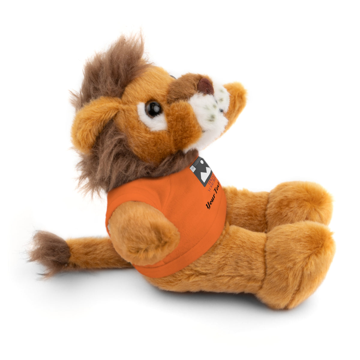 Personalized Stuffed Animal with Custom T-Shirt | Name, Photo or Message Plush Gift