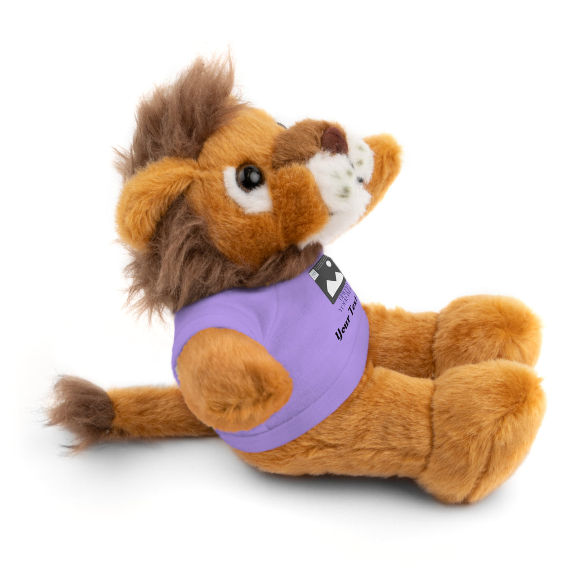 Personalized Stuffed Animal with Custom T-Shirt | Name, Photo or Message Plush Gift