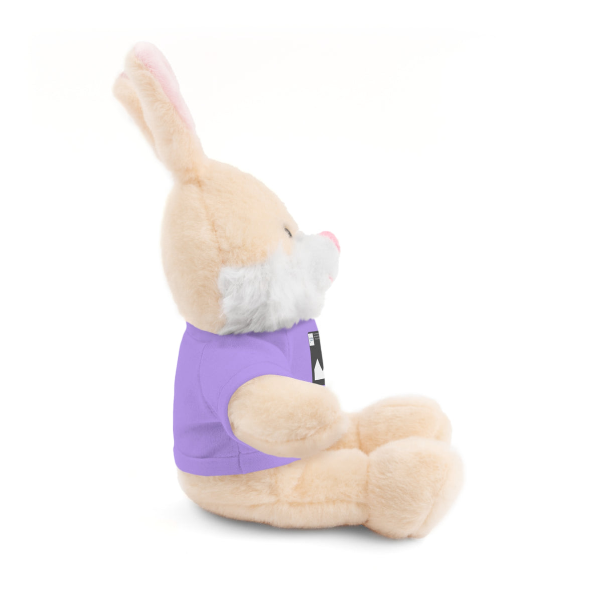 Personalized Stuffed Animal with Custom T-Shirt | Name, Photo or Message Plush Gift