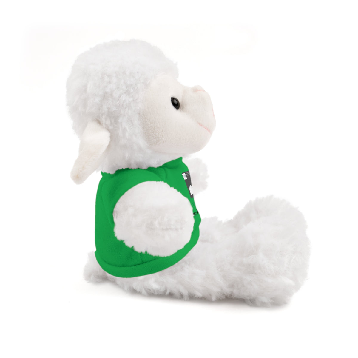 Personalized Stuffed Animal with Custom T-Shirt | Name, Photo or Message Plush Gift