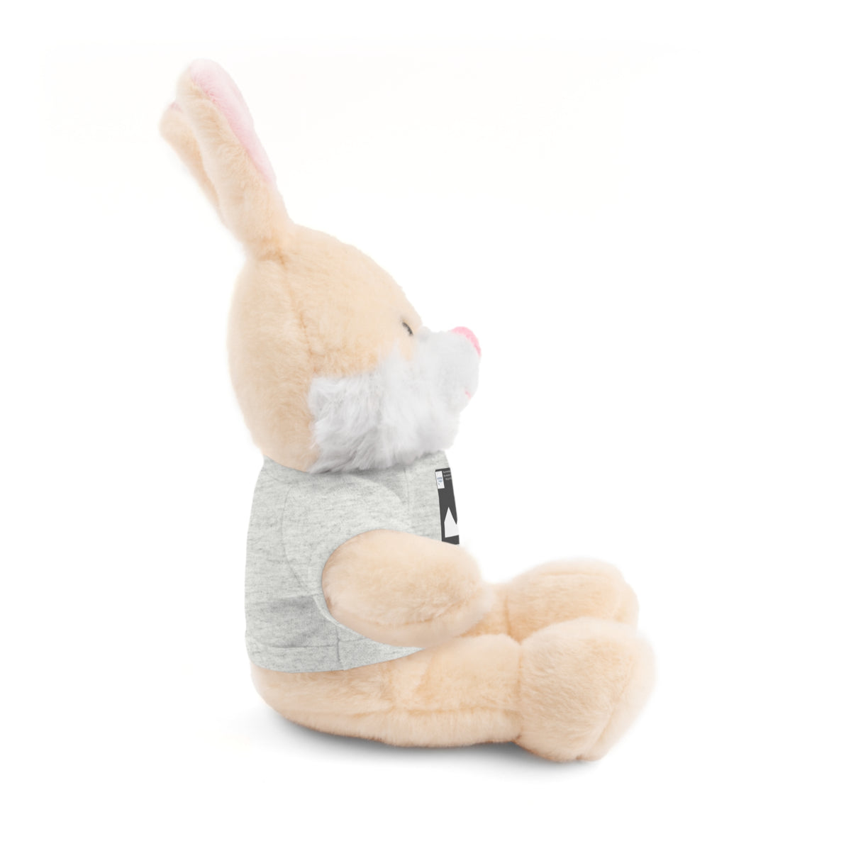 Personalized Stuffed Animal with Custom T-Shirt | Name, Photo or Message Plush Gift