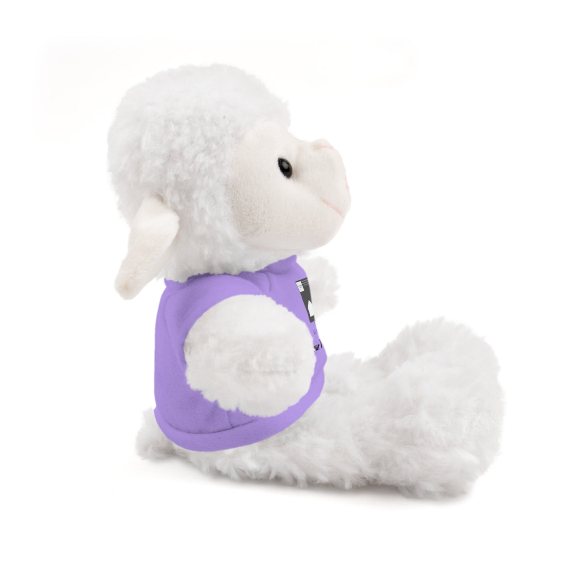 Personalized Stuffed Animal with Custom T-Shirt | Name, Photo or Message Plush Gift